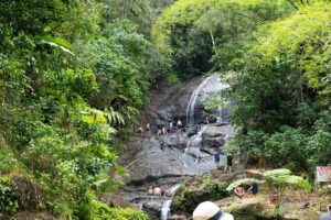 Rainforest Hike and Waterfall Safari - Venus Estate Waterfall at Anse La Raye: swim time, photos, and a calm break from the road