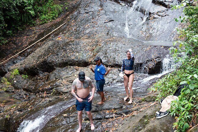 Rainforest Hike and Waterfall Safari - Who should book this Venus Estate rainforest safari (and who should skip it)