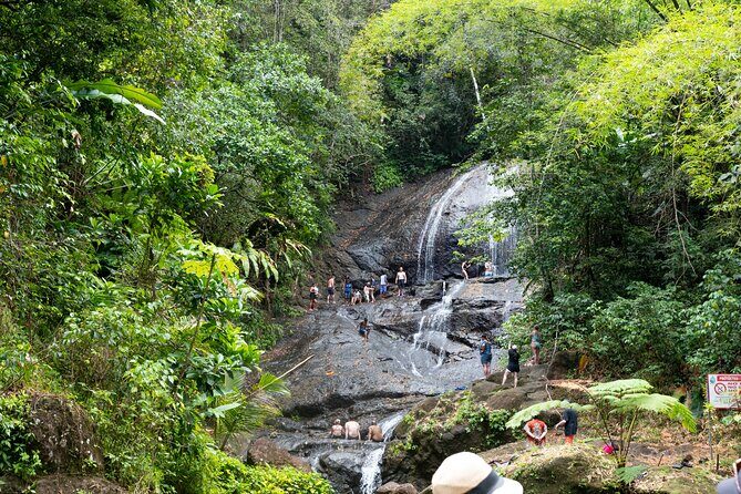 Rainforest Hike and Waterfall Safari - Venus Estate Waterfall at Anse La Raye: swim time, photos, and a calm break from the road