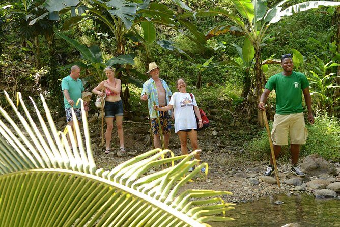 Rainforest Hike & Waterfall Safari St. Lucia From Castries - Cooling Off in a River Pool (After You’ve Worked Up a Little Heat)