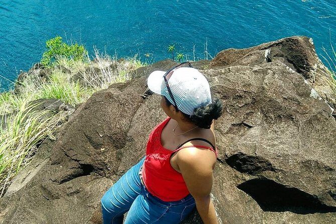 Saint Lucia Private North tour - Price and Logistics: What $110 Buys You