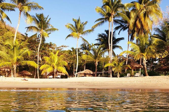 Saint Lucia Private North tour - A Pace Built for Questions, Photos, and Not Feeling Rushed