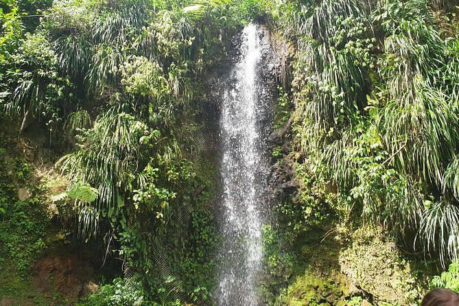 Scenic Tour of Soufriere - Marigot Bay: the first wow for your camera