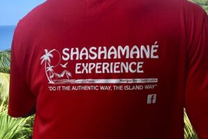 Shashamane experience private boat charter Marigot bay st lucia - Pitons from the water, plus Sugar Beach right in the middle