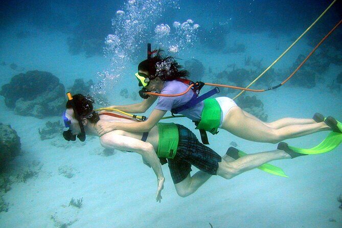 SNUBA Saint Lucia - Visibility and Marine Life: What You Can Hope to See