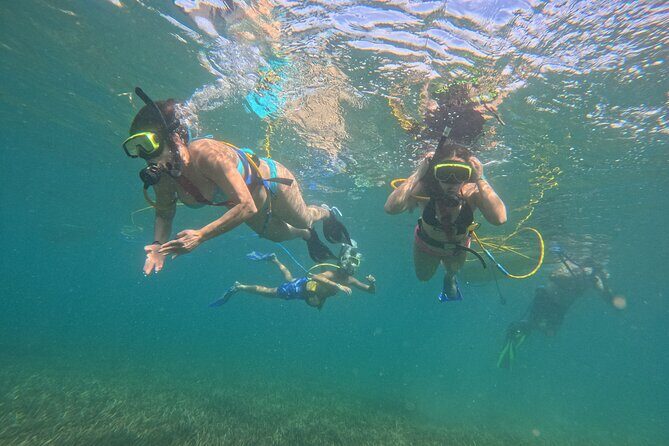 SNUBA Saint Lucia - Guide Power in SNUBA: Why Names Like Solefish, Richard, and Dragonfish Matter