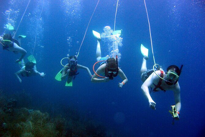 SNUBA Saint Lucia - Who Should Book SNUBA at Sealife Paradise (and Who Should Think Twice)