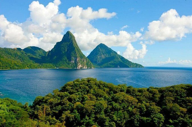 Soufriere Experience Tour - Diamond Falls Botanical Gardens: birds-and-bugs nature time