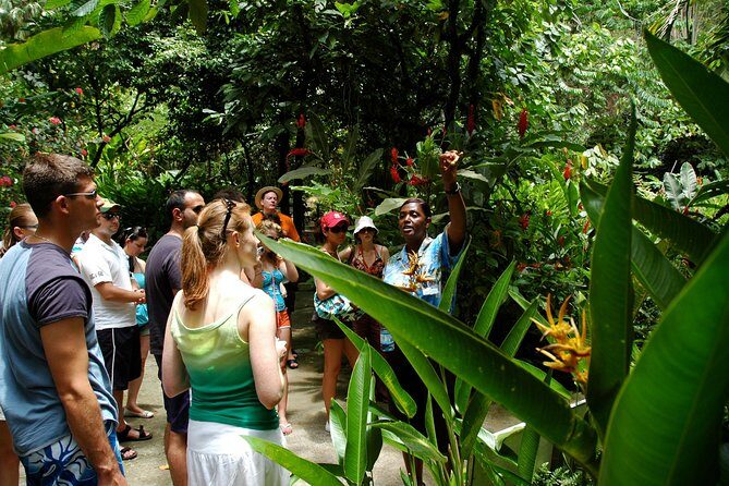 Soufriere Island Delight - Soufriere in Half a Day: What You Actually Get