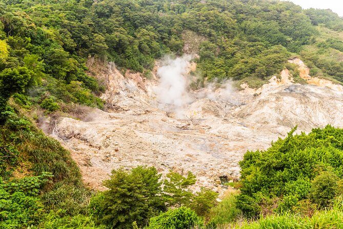 Soufriere Island Delight - The North Island Pickup and Scenic Drive (Including the S-Turn Reality)