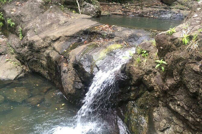 Soufriere Volcano Experience - Morning Start From Gros Islet: What the First Hour Feels Like