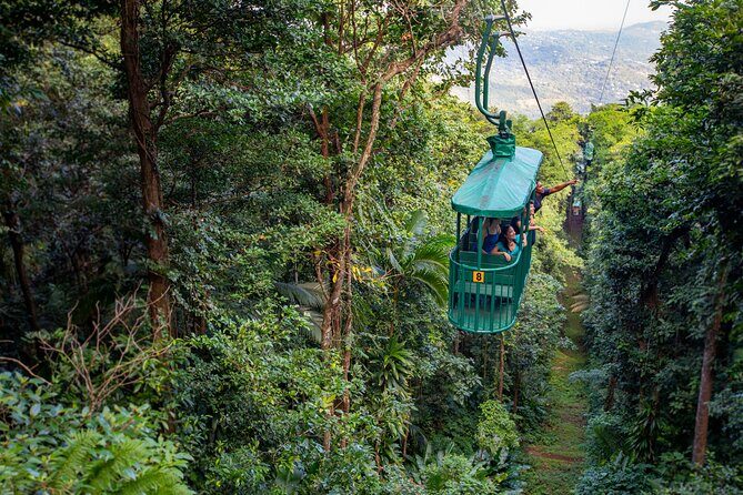 St. Lucia Aerial Tram Tour at Rainforest Adventures - Key Things to Know Before You Go