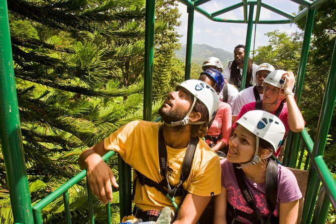 St. Lucia Aerial Tram Tour at Rainforest Adventures - Wildlife Watching: Jacquot Parrots, Agoutis, and Weather Reality
