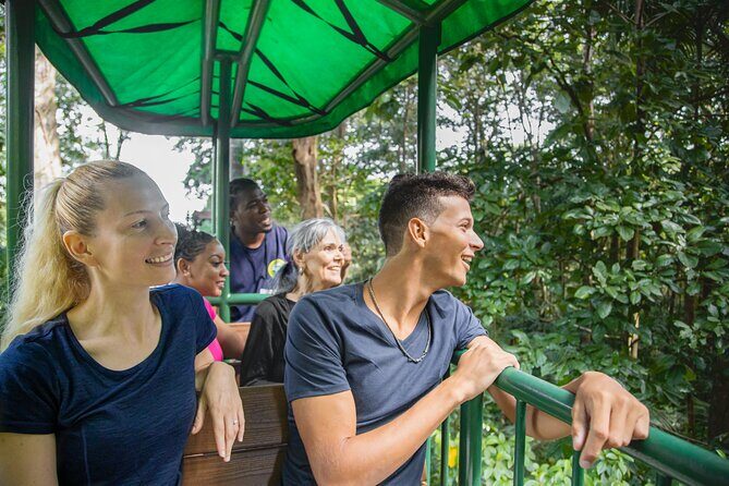 St. Lucia Aerial Tram Tour at Rainforest Adventures - Your 10:00 Start and How the Time Adds Up (2h30)