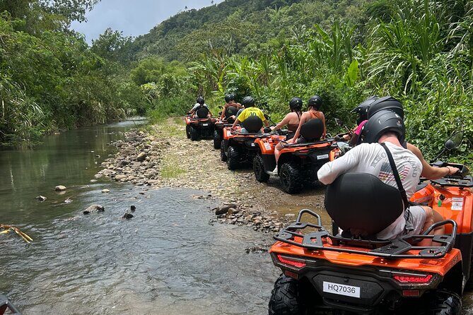 St Lucia ATV Tour : Waterfall, Plantation, Beach and Distillery - Banana plantation time with Farmer Peter (and real tastings)
