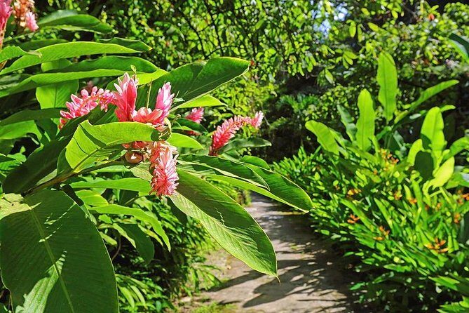 St. Lucia Botanical Gardens and Waterfall Tour Groups only - Key things to know before you book