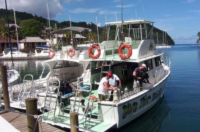 St Lucia Certified Scuba Diving Tour - Price and Value: How $116 Adds Up (When It’s the Right Option)