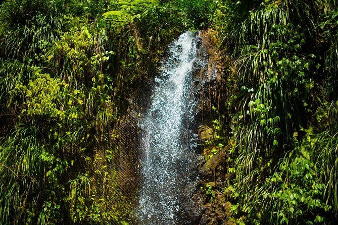 St Lucia Cruise Ship Excursion - The guides: why this tour feels like a friend showing you the island