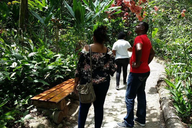 St Lucia Diamond Mineral and Mud Baths Plus Waterfall Adventure - Stop 3: Toraille Waterfall, a Real Cool-Down