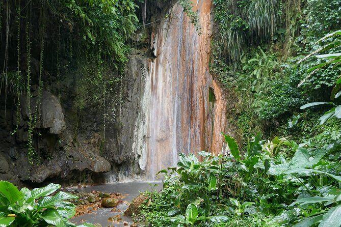 St Lucia Island Excursion Day Tour - Pitons views plus rum tasting at the Petit Piton Trail stop