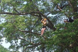 St. Lucia Morne Coubaril Estate Zipline Experience - The one-hour plan: training, 16 platforms, and eight cables