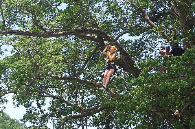 St. Lucia Morne Coubaril Estate Zipline Experience - Price and value: about $76.93 for an 8-line circuit