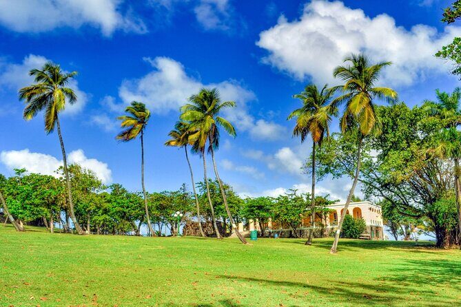 St Lucia Pigeon Island Ultimate Relax-Experience (Inc-Lunch) - Mount du Cap: a fast East Coast photo stop that actually pays off