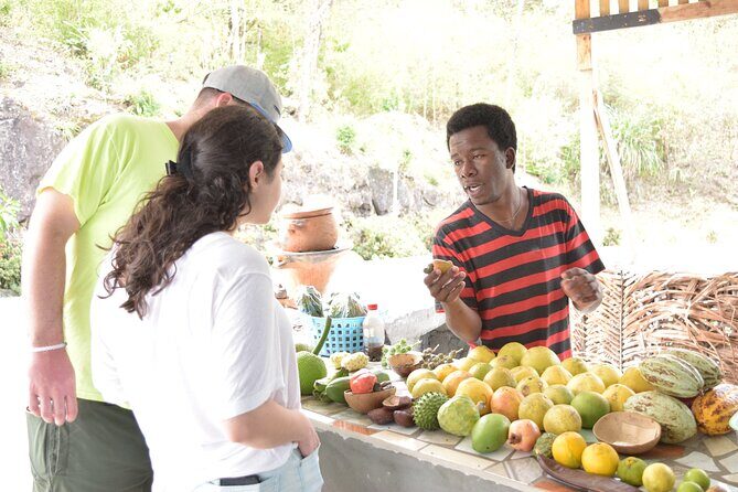St. Lucia Private Airport & Hotel Transfers - En-route stops: viewpoints, photo ops, and stretch breaks