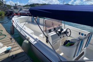 St. Lucia Private Boat Tour, Mud Bath, Waterfall & Beach Time - Price and what $260 really buys you