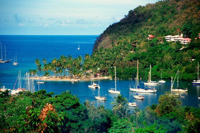 St Lucia Shore Excursion: Land & Sea Tour - Governor’s Mansion Area and Calabash Tree Stop