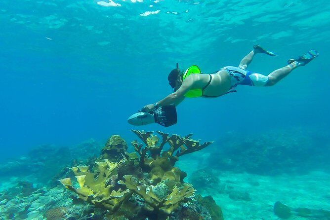 St. Lucia Speedboat and Power Snorkel From Castries - Key Highlights to Know