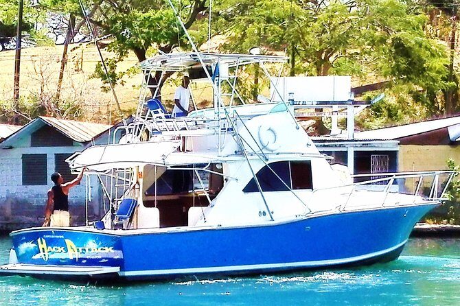 St Lucia Sport Fishing Tour - Choosing Your Target: Wahoo, Dorado, Sailfish, and Marlin