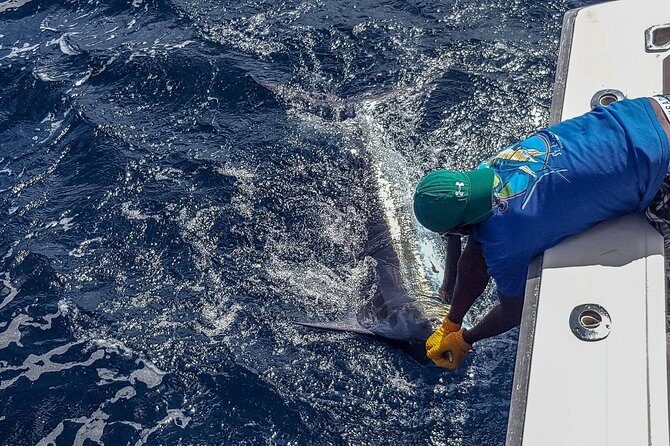 St Lucia Sport Fishing Tour - Bertram Boats and Tournament Gear: Why Penn and Shimano Matter