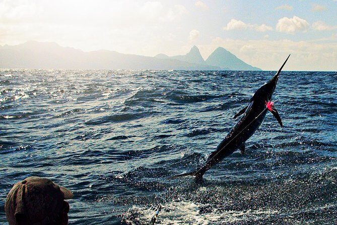 St Lucia Sport Fishing Tour - The 4-Hour Morning Run: How Fishing Time Actually Feels