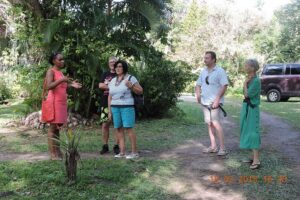 St Lucia Sunday's Tour - Pickup, small group size, and what your day actually feels like