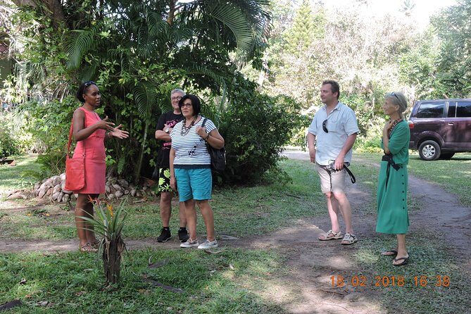 St Lucia Sunday's Tour - Pickup, small group size, and what your day actually feels like