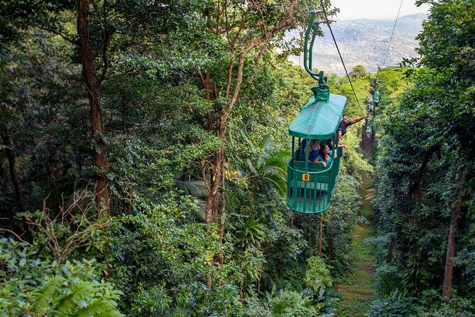 St Lucia Ultimate 3: Aerial Tram, Zipline and Hiking at Rainforest Adventures - Key Things That Make This Tour Worth Your Time