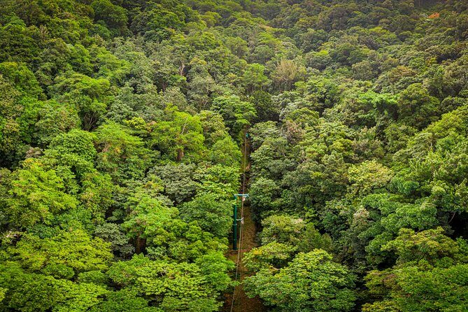 St Lucia Ultimate 3: Aerial Tram, Zipline and Hiking at Rainforest Adventures - The Aerial Tram Ride: Views First, Adrenaline Later