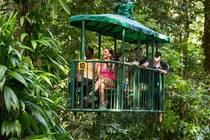 St Lucia Ultimate 3: Aerial Tram, Zipline and Hiking at Rainforest Adventures - The Walk to Canopy and the “Mind the Steps” Moment
