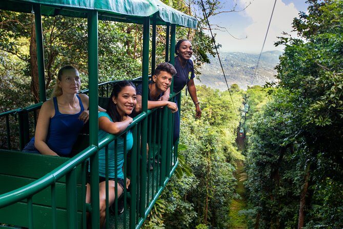 St Lucia Ultimate 3: Aerial Tram, Zipline and Hiking at Rainforest Adventures - Canopy Zipline: 8 Continuous Lines and Real Coaching