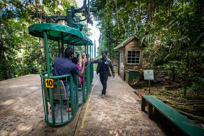 St. Lucia Zip line, Aerial Tram and Hiking tour Ultimate 3 - Stop-by-stop: what happens and why it matters