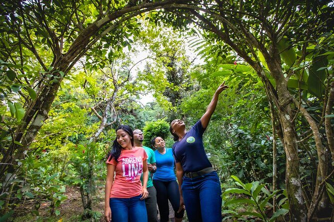 St. Lucia Zip line, Aerial Tram and Hiking tour Ultimate 3 - The rainforest guide: what you’ll actually notice