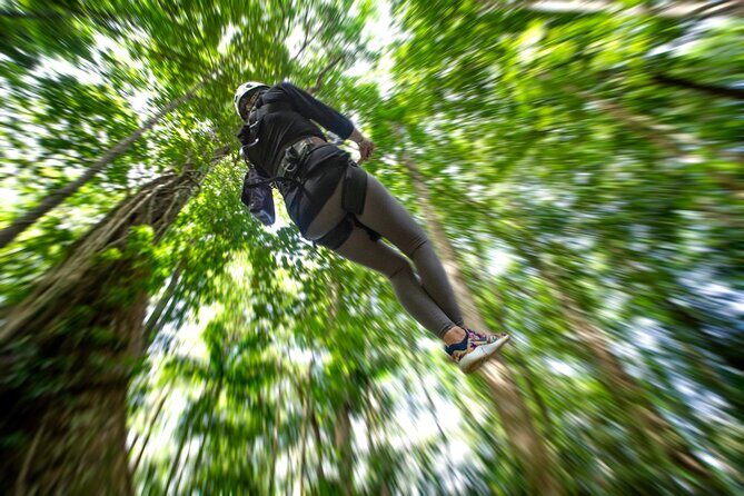 St. Lucia Zip line, Aerial Tram and Hiking tour Ultimate 3 - Price and value: how $95 adds up