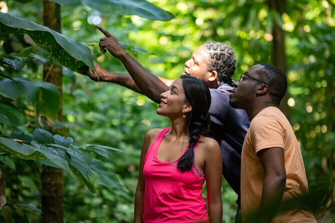 St. Lucia Zip line, Aerial Tram and Hiking tour Ultimate 3 - Camera tips that make a difference