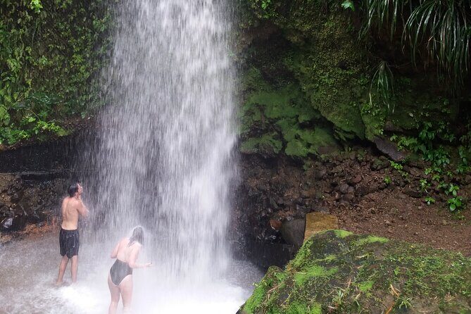 Sulphur Springs Mud Bath and Toraille Waterfall Tour with Creole Lunch - Key things that make this tour work well