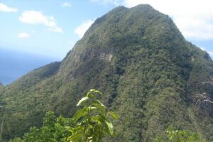 The Best of Saint Lucia Tour - Tet Paul Nature Trail: getting the Pitons at eye level