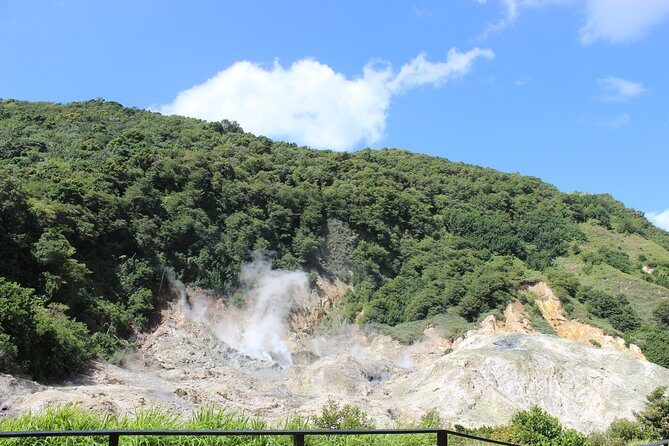 The Best of Saint Lucia Tour - Practical tips before you go