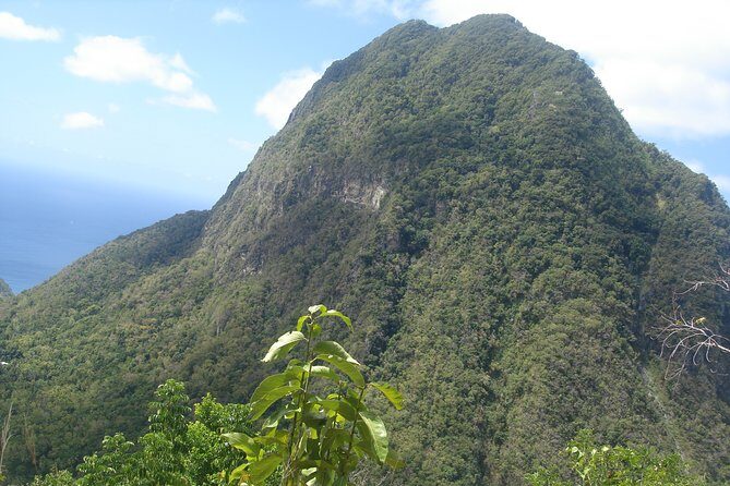 The Best of Saint Lucia Tour - Tet Paul Nature Trail: getting the Pitons at eye level