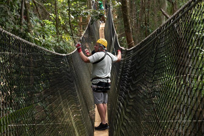 Treetop Adventure Park Canopy Tour - Key things I’d pay attention to