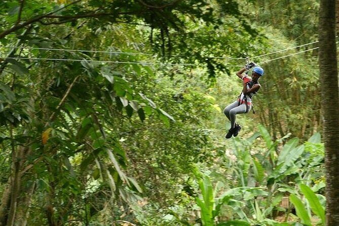 Treetop Adventure Park Canopy Tour - From Cruise Port or Hotel to the Canopy in One Air-Conditioned Ride